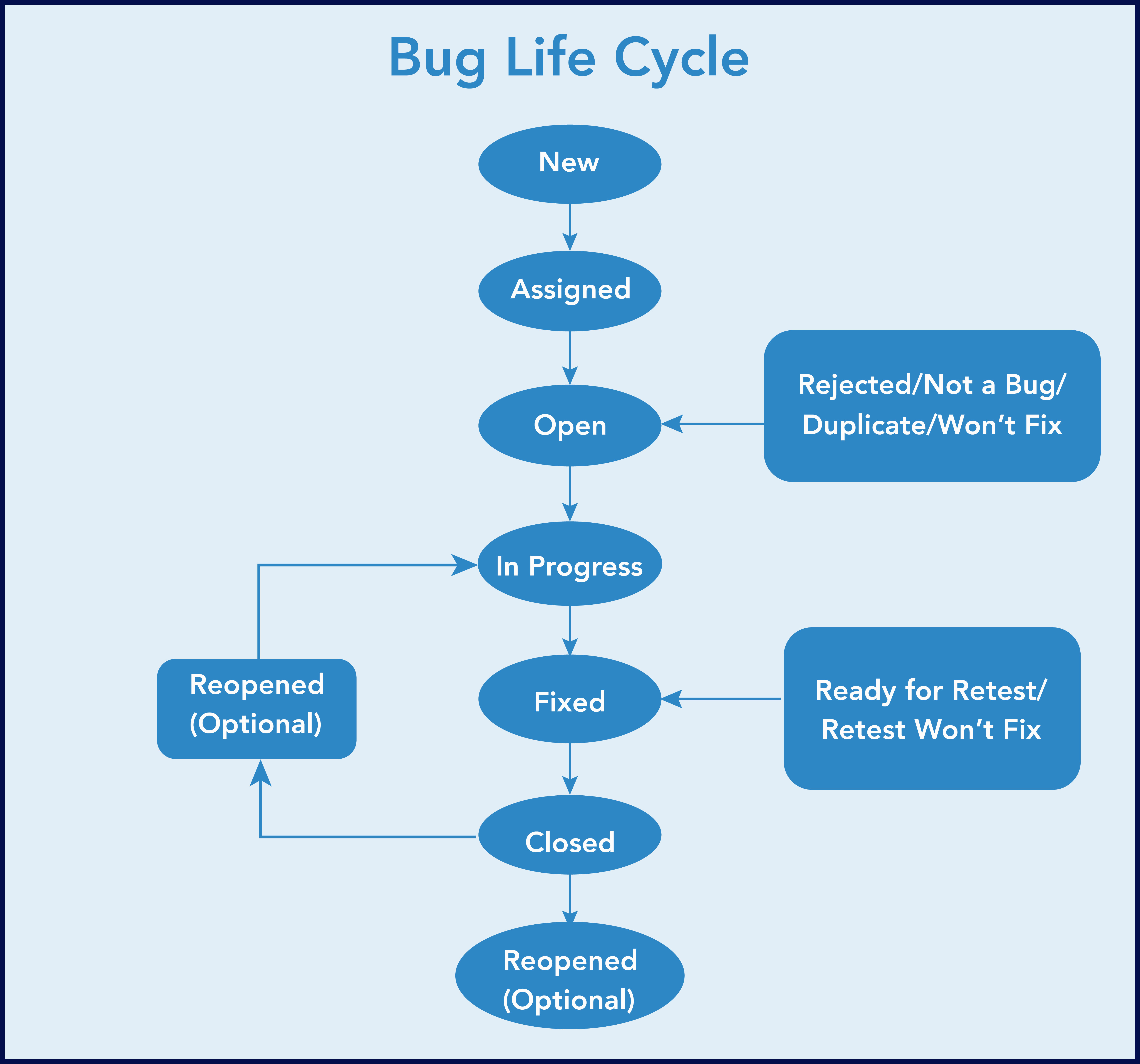 Bug Life Cycle